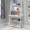 Delta Desk with Shelving