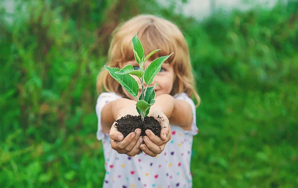 Child holding a small plant